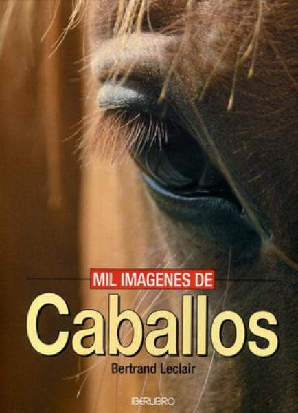 MIL IMAGENES DE CABALLOS